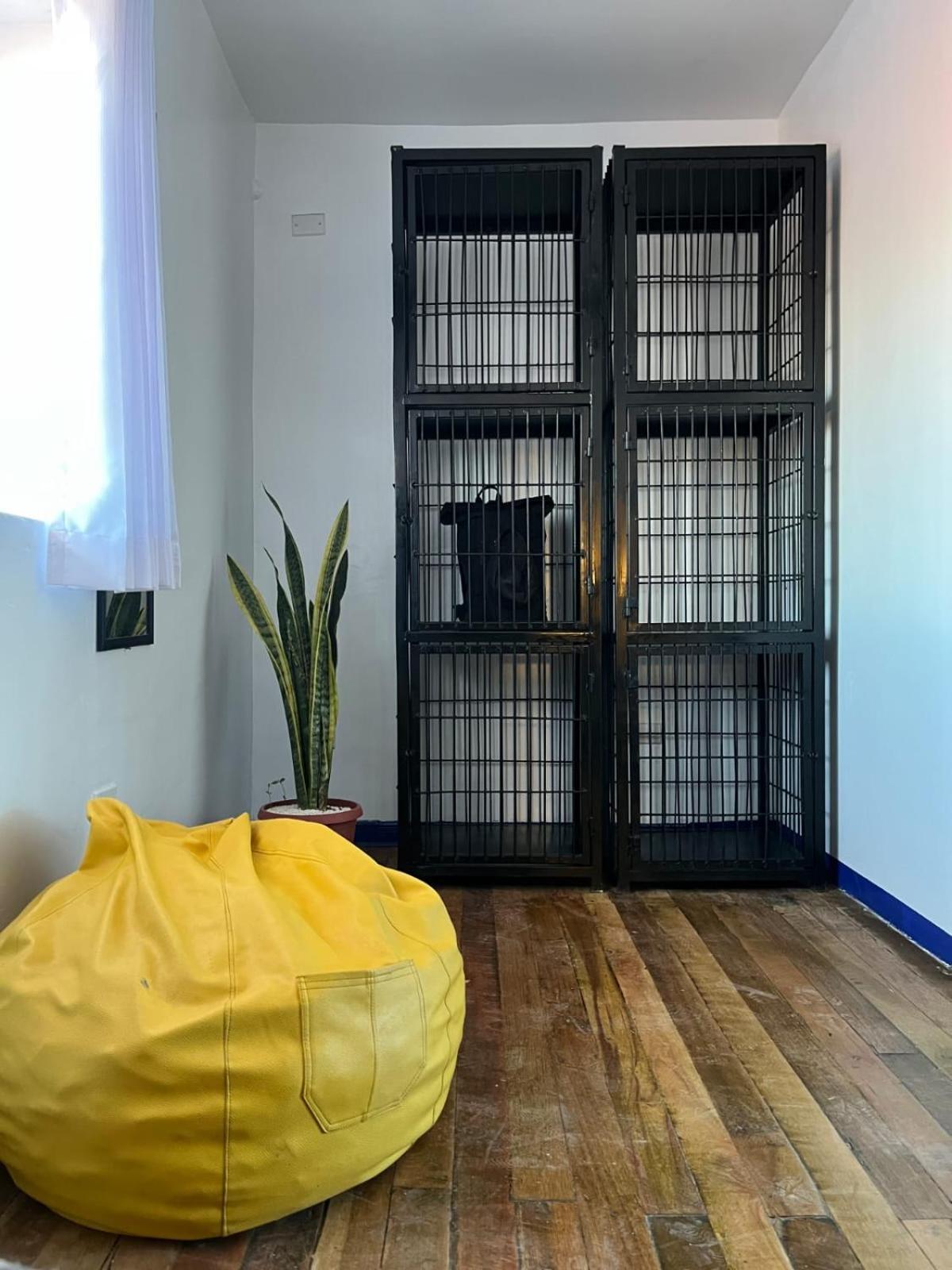 קוסקו Haku Hostel מראה חיצוני תמונה