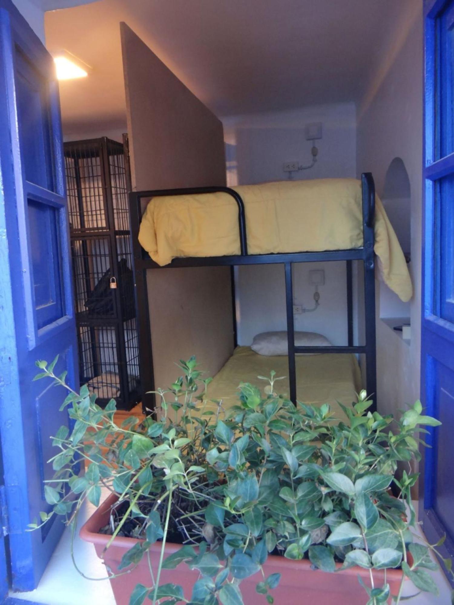קוסקו Haku Hostel מראה חיצוני תמונה
